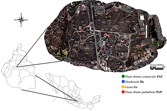 Ubicaci&oacute;n geogr&aacute;fica de la Reserva Ecol&oacute;gica del Pedregal de San &Aacute;ngel de Ciudad Universitaria (RESPSA‑CU). Cada punto representa la ubicaci&oacute;n de los sitios con topograf&iacute;a contrastante y las replicas que se delimitaron para la realizaci&oacute;n del an&aacute;lisis f&iacute;sico del suelo.