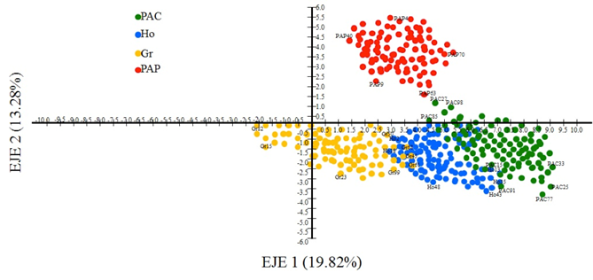 An&aacute;lisis Can&oacute;nico de Correspondencia para el ordenamiento y clasificaci&oacute;n de los sitios con topograf&iacute;a contrastante en funci&oacute;n de diez propiedades f&iacute;sicas del suelo. PAC = plano abierto conservado, Ho = hondonada, Gr = grieta y PAP = plano abiertos perturbados. Se emplearon 100 muestras por cada sitio, se se&ntilde;alan las muestras que intervinieron en la determinaci&oacute;n de la inercia. La trayectoria de los sitios PAP result&oacute; independiente del resto de los sitios.