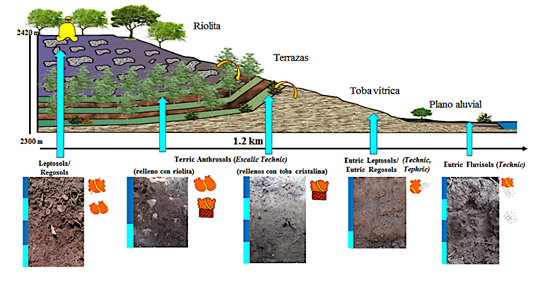 Catena de suelos del Barrio 1-Cuahtepuztitla.