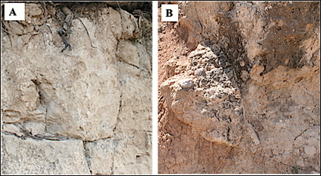 Tobas volc&aacute;nicas. A) v&iacute;trica y B) cristalina-l&iacute;tica; Barrio 1 de Cuauhtepuztitla.