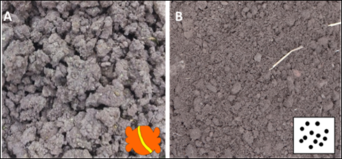 Bloques subangulares y granulares y su posible representaci&oacute;n pictogr&aacute;fica. A) Tezoquitl; B) Xalalli.