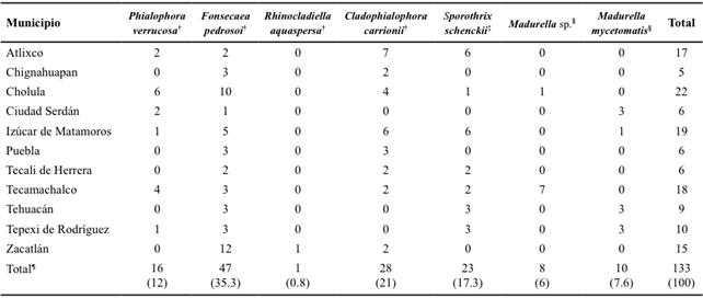 Agentes potenciales causantes de micosis subcut&aacute;neas aislados a partir de 550 muestras de suelo de diferentes municipios del estado de Puebla.