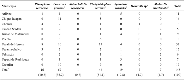 Agentes potenciales causantes de micosis subcut&aacute;neas aislados a partir de 550 muestras de plantas de diferentes municipios del estado de Puebla.