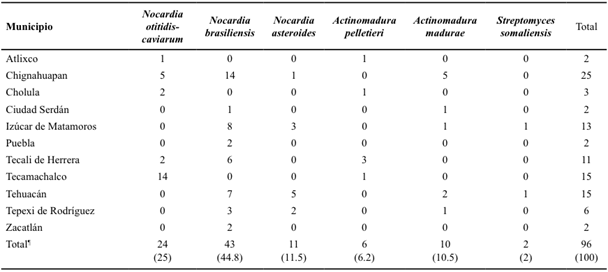 Agentes potenciales causantes de actinomicetoma aislados a partir de suelo de diferentes municipios del estado de Puebla.