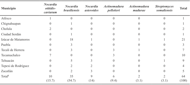 Agentes potenciales causantes de actinomicetoma aislados a partir de plantas de diferentes municipios en el estado de Puebla.
