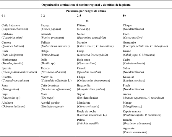 Especies de plantas m&aacute;s comunes encontradas en los huertos caseros de X-Maben, X-Pichil, X-Yatil, San Jos&eacute; II y Melchor Ocampo en Felipe Carrillo Puerto, Quintana Roo.