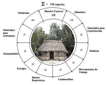 N&uacute;mero de especies y productos m&uacute;ltiples que se pueden obtener de los huertos tradicionales Mayas de las comunidades estudiadas en el municipio de Felipe Carrillo Puerto, Quintana Roo (Toledo, 2003).