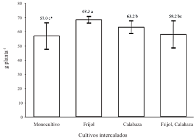 Rendimiento por planta de maíz en monocultivo, asociado con frijol, con calabaza y con ambos cultivos. * Letras distintas indican diferencias significativas, según la prueba de Tukey (P ≤ 0.05).