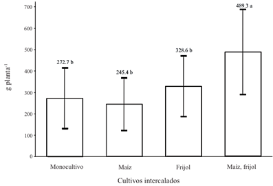 Rendimiento por planta de calabaza en monocultivo, asociado con maíz, con frijol y con ambos cultivos. * Letras distintas indican diferencias significativas, según la prueba de Tukey (P ≤ 0.05).
