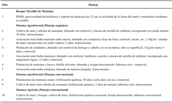 Manejo de los sistemas presentes en Zacatl&aacute;n, Puebla.