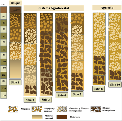 Tipos de agregados presentes en los diferentes sistemas estudiados.