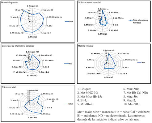 Propiedades ed&aacute;ficas del bosque mes&oacute;filo de monta&ntilde;a (BMM) y los diferentes manejos agroforestales y agr&iacute;colas.