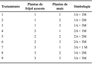 Tratamientos en la siembra asociada frijol ayocote-maíz, Montecillo, México. Verano 2014.