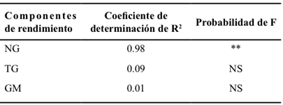 Correlación entre el rendimiento de grano de maíz con el número de granos (NG), tamaño de grano (TG) y granos por mazorca (GM).
