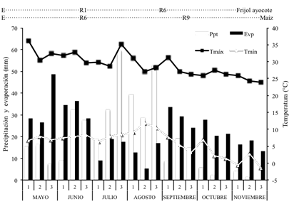 Temperatura máxima (Tmáx) y mínima (Tmín) (media decenal), la suma decenal de la evaporación (Ev, mm) y precipitación (Ppt, mm) durante el ciclo de los cultivos de maíz y frijol ayocote. Montecillo, Méx. 2014. Para frijol ayocote E = emergencia, Ev = etapa vegetativa, R6 = floración y R9 = madurez fisiológica; para maíz R1 = floración y R6 = madurez fisiológica.