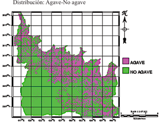 Resultado de la clasificaci&oacute;n supervisada que muestra la distribuci&oacute;n de superficies ocupadas por agave contra otros tipos de usos del suelo (no agave).