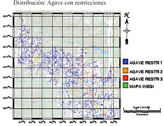 Mapa de clases con restricciones y su base cartogr&aacute;fica. Restricci&oacute;n tipo 1 = aspectos econ&oacute;micos; Restricci&oacute;n tipo 2 = plagas y enfermedades; Restricci&oacute;n tipo 3 = efectos por exceso de humedad del suelo.