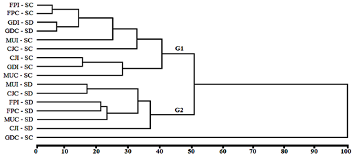 Análise de agrupamento por dendrograma construído usando a Distância Euclidiana média como coeficiente de dissimilaridade e UPGMA (Unweighted Pair Group Method with Arithmetic Mean) como método de agrupamento, realizada a partir dos componentes da produtividade e da produção de grãos do feijoeiro comum em função das plantas de cobertura e dos sistemas de manejo do solo. FPI = feijão de porco isolado; FPC = feijão de porco consociada; MUI = mucuna isolada; MUC = mucuna consorciada; CJI = crotalariajuncea isolada; CJC = crotalariajuncea consorciada; GDI = guandu isolada; GDC = guandu consorciado; SC = sistema convencional; SD = semeadura direta.