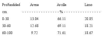 Fracciones granulom&eacute;tricas del huerto de nogal.