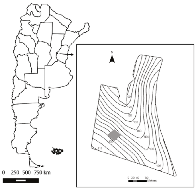 Location of the study area (in gray) within the agricultural plot (contour map).
