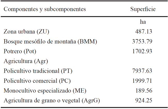 &Aacute;reas de componentes y subcomponentes obtenido en procesos de an&aacute;lisis de imagen.