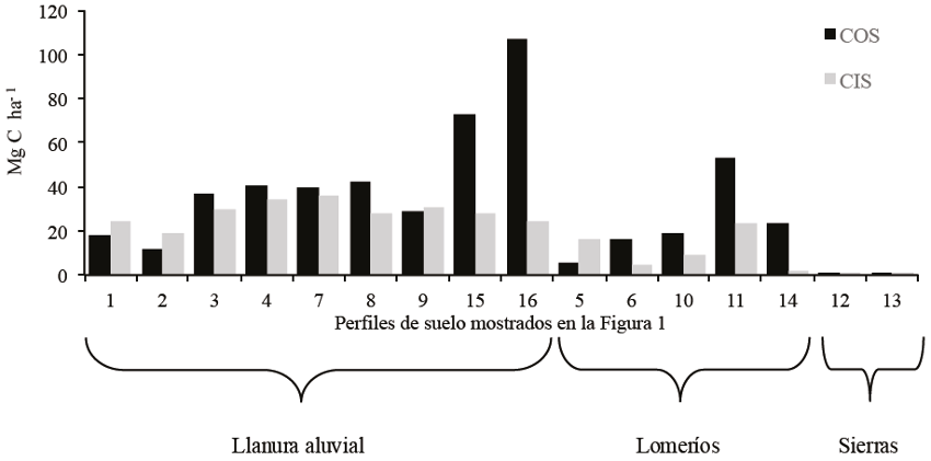 Contenidos de COS y CIS promedio por perfil de suelo y geomorfolog&iacute;a representativa del &aacute;rea de estudio. COS: carbono org&aacute;nico del suelo; CIS: carbono inorg&aacute;nico del suelo.