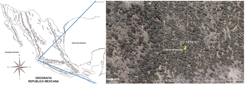 Huerta de aguacate para ensayos de campo.skyscrapercity.com y Google earth 2016.