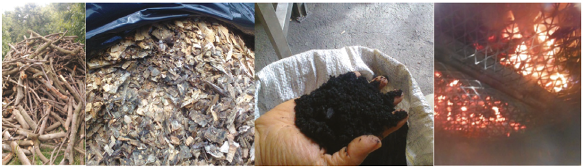 Transformación de la biomasa vegetal a biocarbón a partir de podas del aguacate.