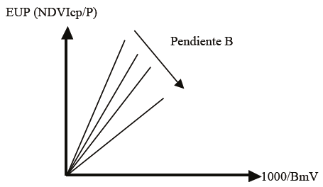 Modelo entre (1000/BmV) y EUP para diferentes condiciones del agostadero.