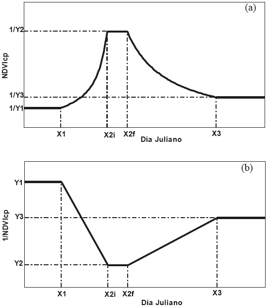 Patrones temporales del NDVIcp, (a) formato normal y (b) transformado.