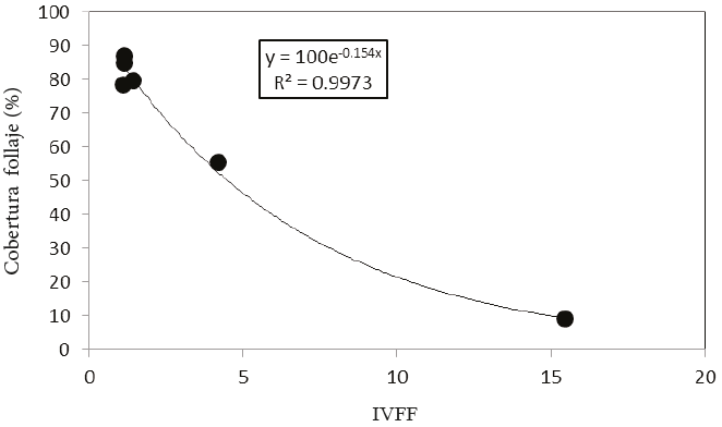 Relaci&oacute;n entre el IVFF y la cobertura del follaje en los experimentos de rodadora con diferentes coberturas de flores blancas.