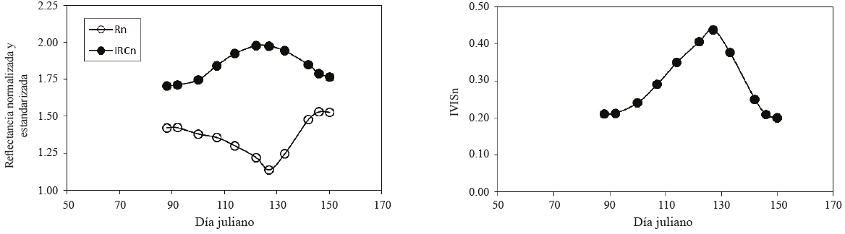 Evoluci&oacute;n temporal de Rn, IRCn e IVISn para el caso de un cultivo de frijol (adaptado de Reyes et al., 2011).