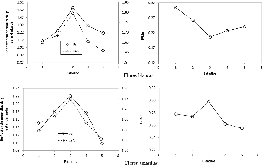Patrones fenol&oacute;gicos del Rn, IRCn e IVISn para flores blancas y amarillas (adaptado de Casiano y Paz, 2014).