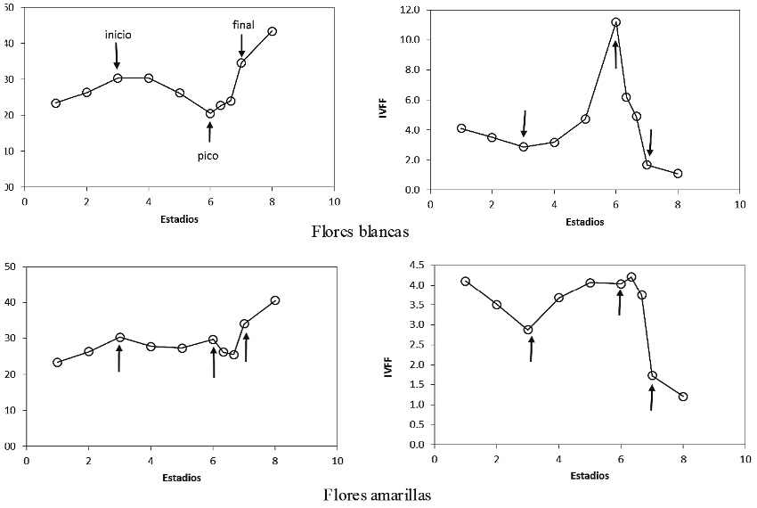 Patrones del IVISn e IVFF para diferentes estadios fenol&oacute;gicos, en el que las flechas indican el inicio, pico y final de la floraci&oacute;n (adaptado de Casiano y Paz, 2014).