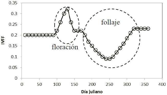 Estadios de la floraci&oacute;n y follaje en un bosque tropical caducifolio.