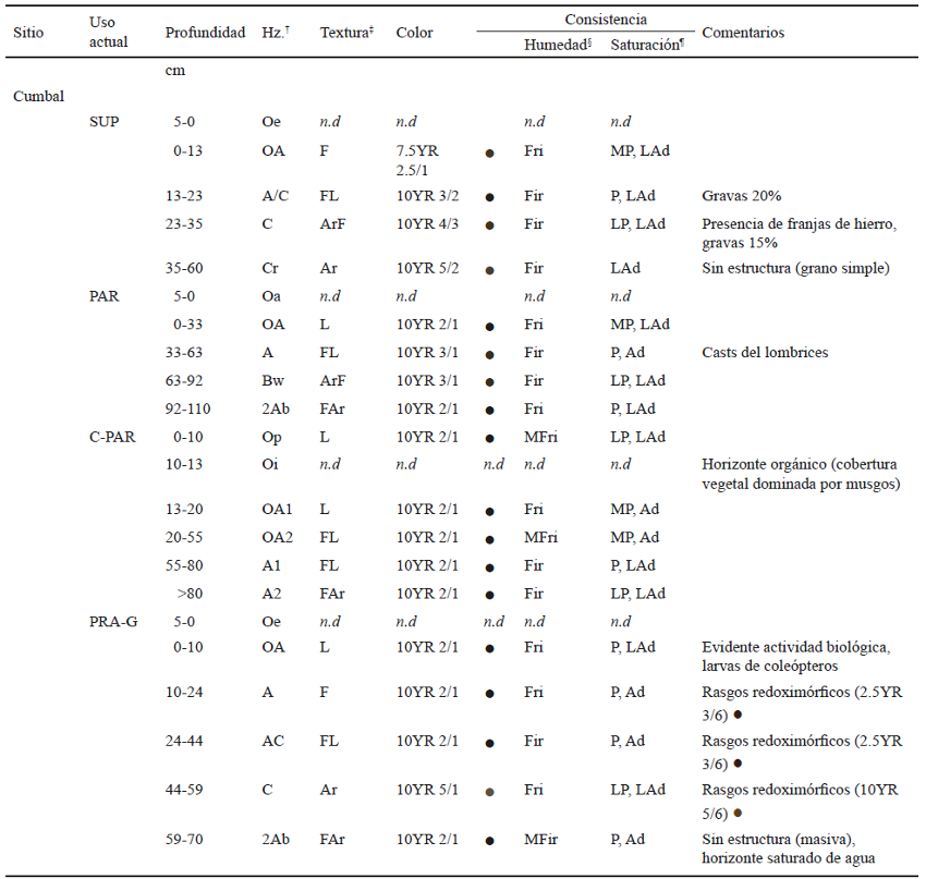 Descripci&oacute;n morfol&oacute;gica de suelos para los sitios de Cumbal.