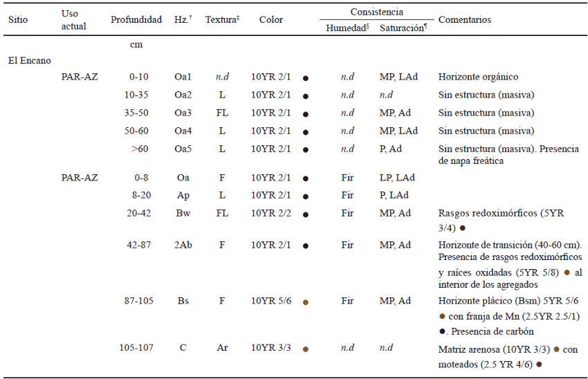 Descripci&oacute;n morfol&oacute;gica de suelos para los sitios de El Encano.