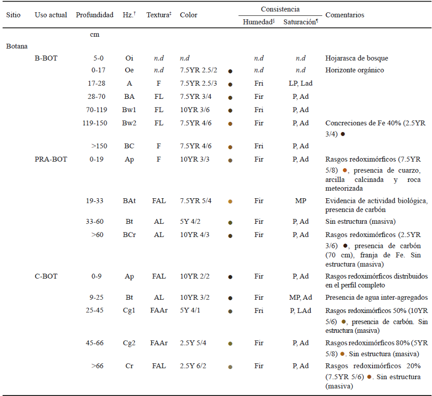 Descripci&oacute;n morfol&oacute;gica de suelos para los sitios de Botana.