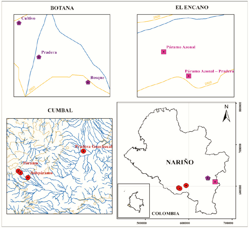 Distribuci&oacute;n espacial de los sitios de descripci&oacute;n. Pent&aacute;gonos p&uacute;rpura corresponden a los sitios de muestreo en Botana, cuadros fucsias a los sitios en El Encano y c&iacute;rculos rojos a los sitios descritos en Cumbal y Guachucal.