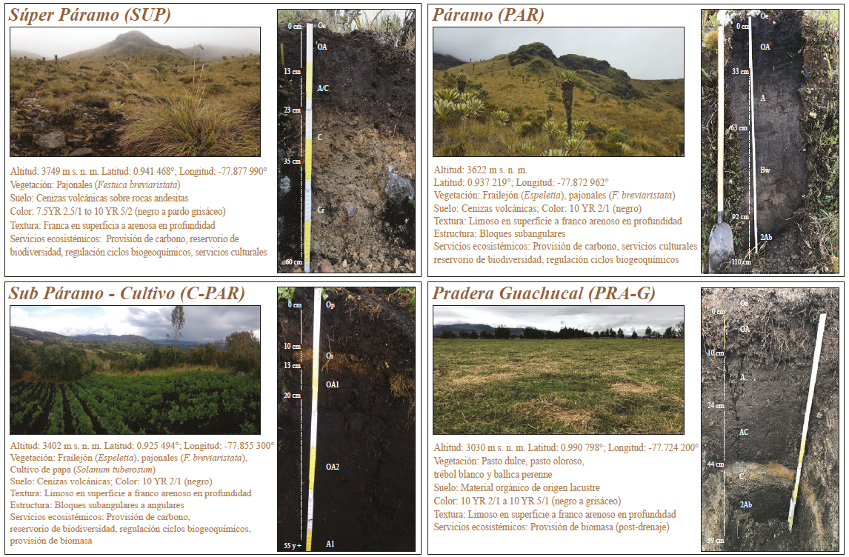 Cartillas informativas de suelos y servicios ecosist&eacute;micos para el sitio de Cumbal.