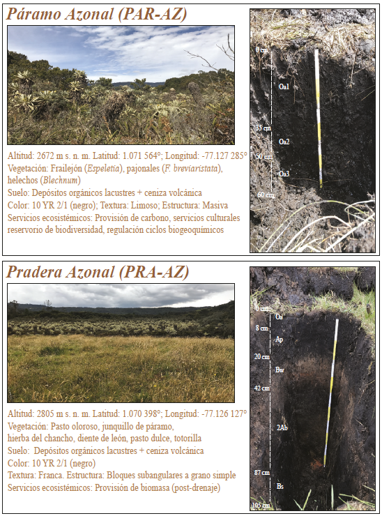 Cartillas informativas de suelos y servicios ecosist&eacute;micos para el sitio de El Encano.