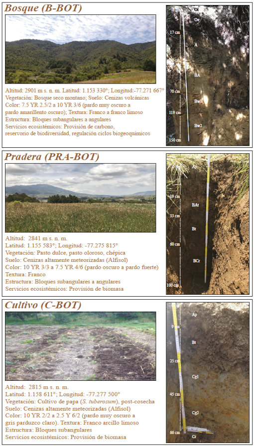 Cartillas informativas de suelos y servicios ecosist&eacute;micos para el sitio de Botana.