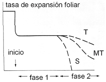 Modelo bifásico de respuesta del crecimiento a la salinidad por tres genotipos diferentes de un cultivo. T = tolerantes; S = sensibles; MT = moderadamente tolerantes.