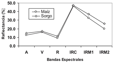 Espectro de la reflectancia de una hoja de maíz y sorgo. A = azul; V = verde; R = rojo; IRC = infrarrojo cercano; IRM 1 = infrarrojo medio 1; IRM 2 = infrarrojo medio 2.