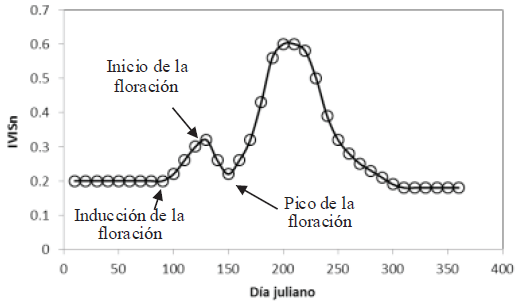 Esquematizaci&oacute;n de los estadios de la floraci&oacute;n en vegetaci&oacute;n caducifolia (Casiano y Paz, 2018). IVIS = &iacute;ndice de vegetaci&oacute;n basado en l&iacute;neas iso-suelo. 