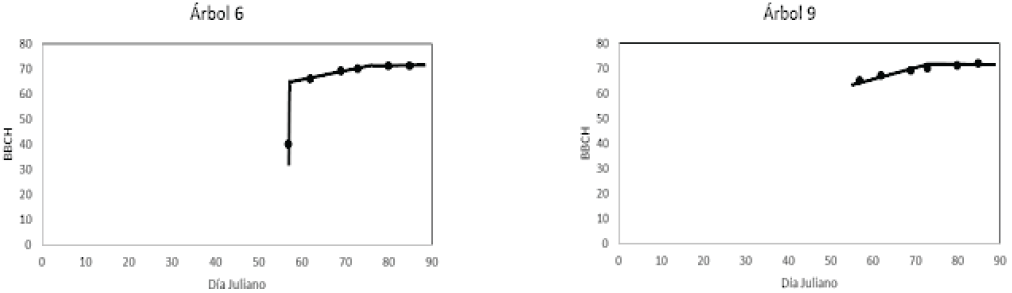 Patr&oacute;n temporal de huizaches con escaso floraci&oacute;n y follaje. 
