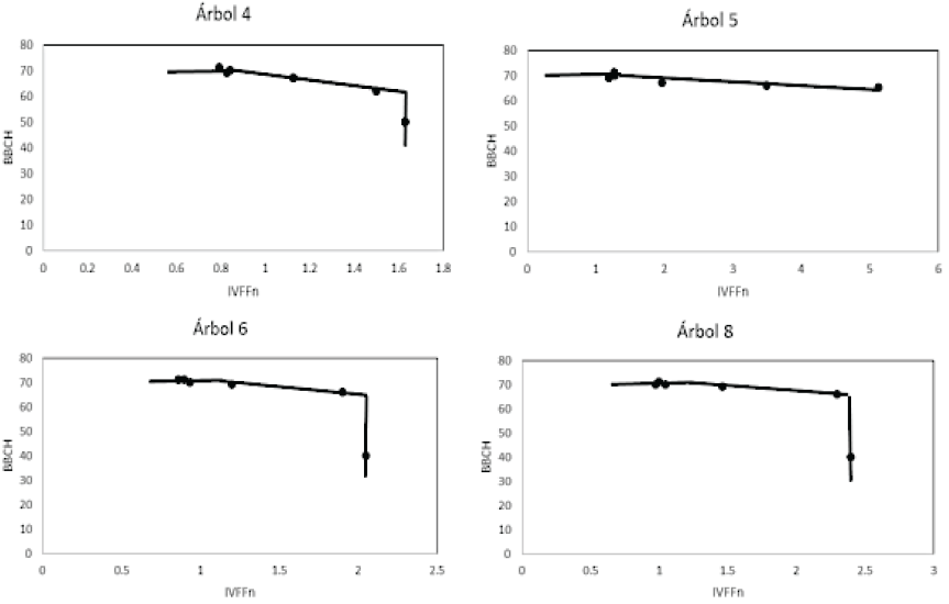 Patr&oacute;n de los estadios fenol&oacute;gicos de desarrollo vegetal y floraci&oacute;n en el espacio IVFFn-BBCH. 