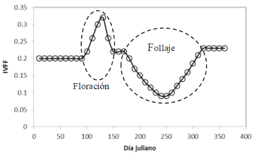 Esquematizaci&oacute;n de los estadios de la floraci&oacute;n y follaje en un bosque tropical caducifolio (Casiano y Paz, 2018). IVFF = &iacute;ndice de vegetaci&oacute;n para floraci&oacute;n y follaje. 