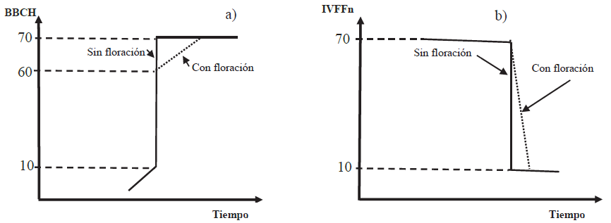 Modelo general de los estadios fenol&oacute;gicos para el desarrollo vegetativo y desarrollo vegetativo con floraci&oacute;n en los espacios BBCH-Tiempo e IVFFn-Tiempo. 