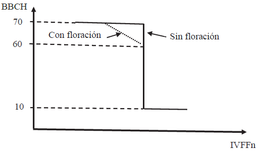 en el espacio IVFFn-BBCH. 